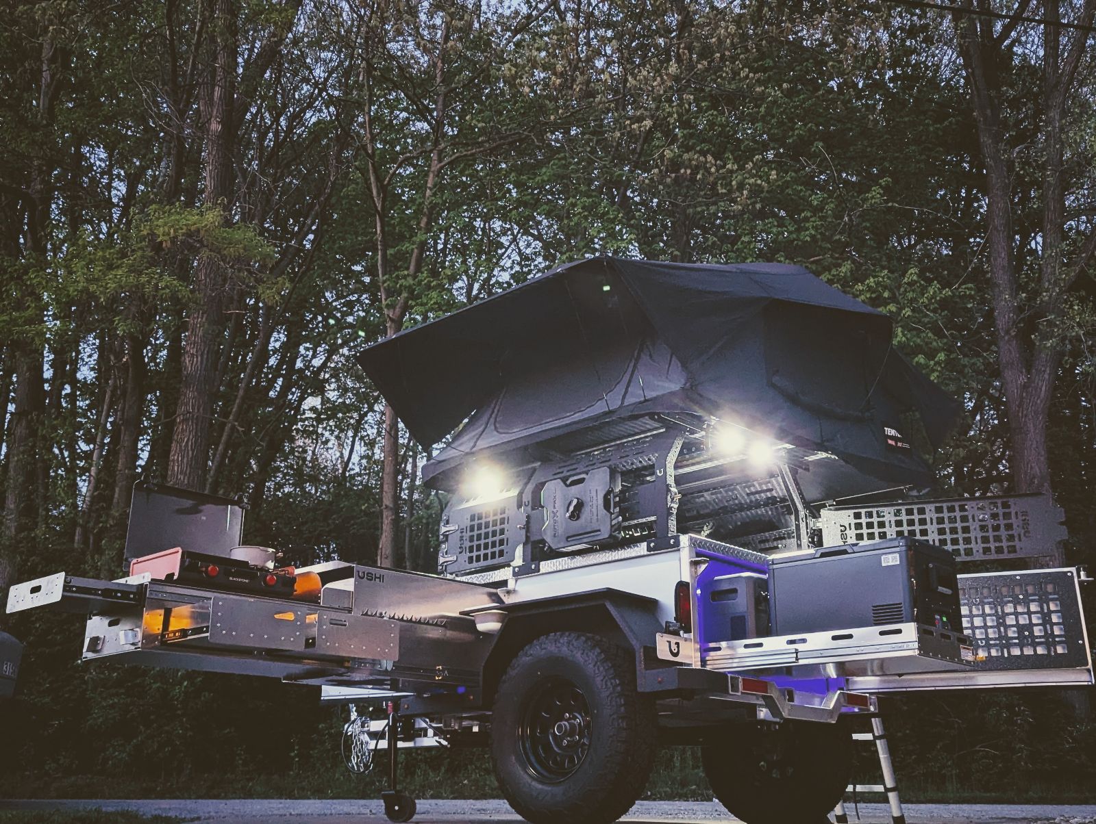 Ushi Full Shot Night Below.jpg